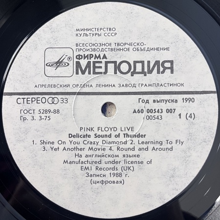 Delicate Sound Of Thunder