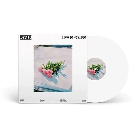 Life Is Yours