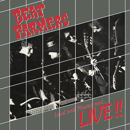Loud And Plowed And...Live!!