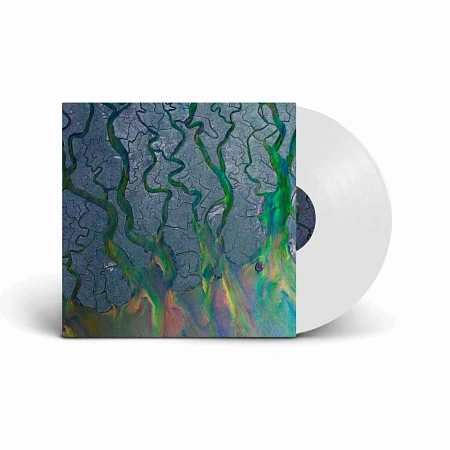 An Awesome Wave