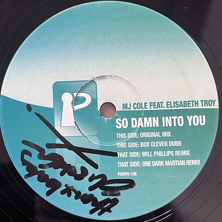 So Damn Into You
