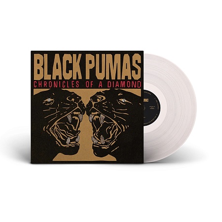 Chronicles Of A Diamond