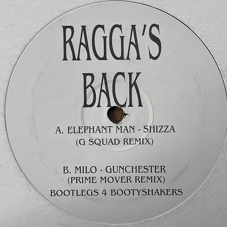 Ragga's Back