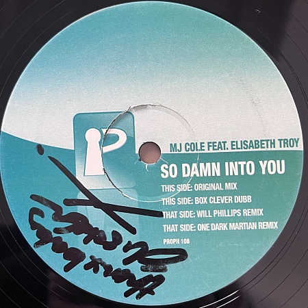 So Damn Into You