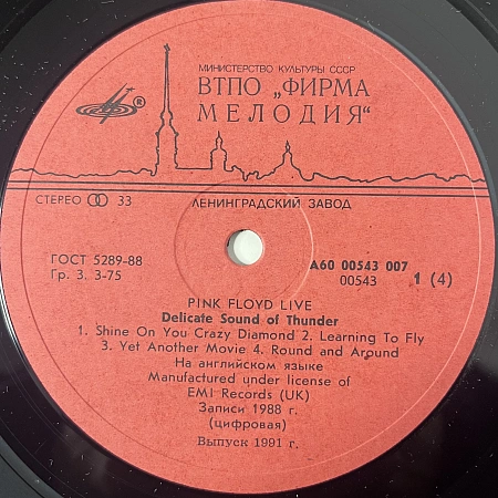 Delicate Sound Of Thunder