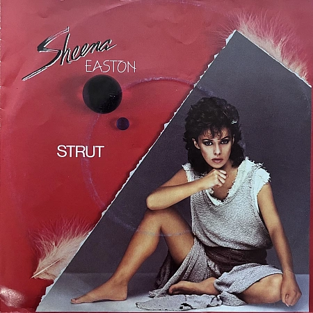Strut