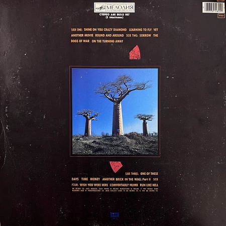 Delicate Sound Of Thunder