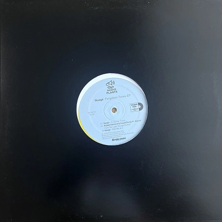 Forgotten Tones EP